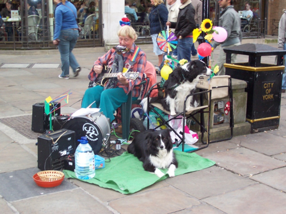 One man band in York