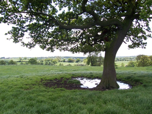 Footpath Kirkby Overblow, North Yorkshire