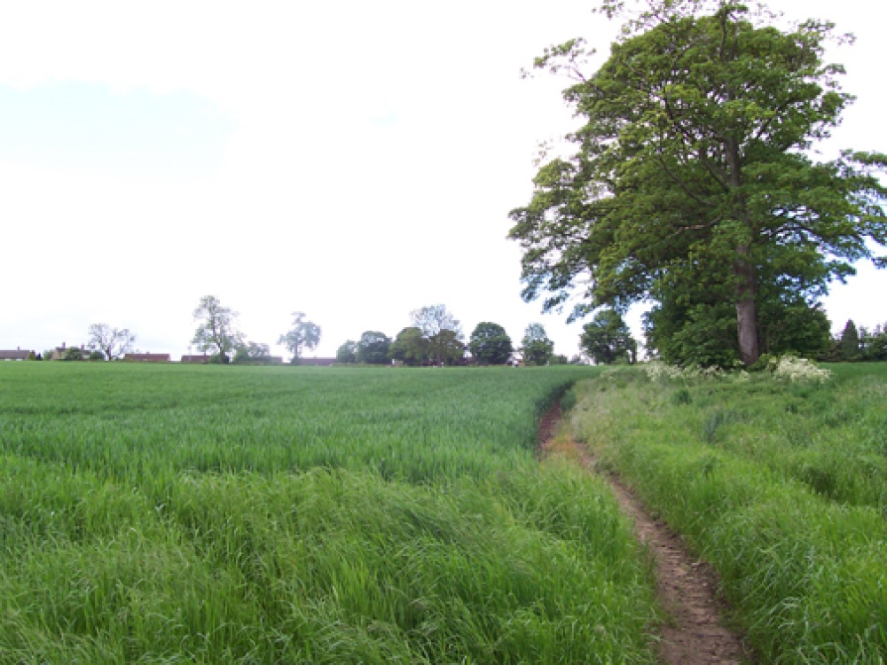 Footpath in Kirkby Overblow, North Yorkshire