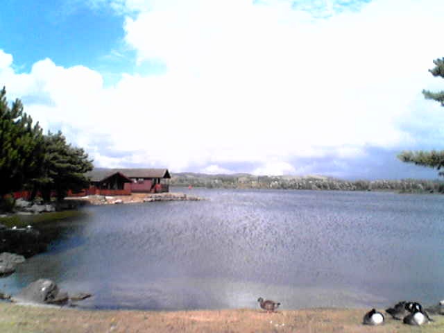 Pine Lake Resort, Lancashire.
You can see how lovely this is...