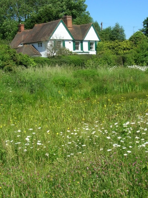 A view across Mayford Pond to Sun Hill House beyond.  June 2006. Mayford, Surrey