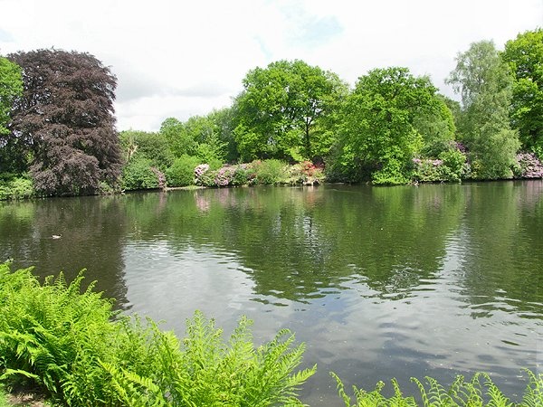 Photograph of Lake at Dunham Massey, Altrincham, Cheshire.