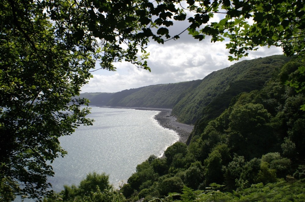 On the street going down to Clovelly, Devon. JUly 2006