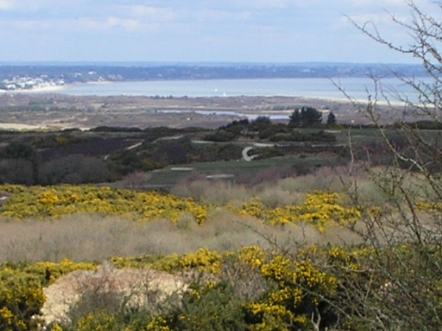 Looking towards Poole Bay across Studland, Dorset