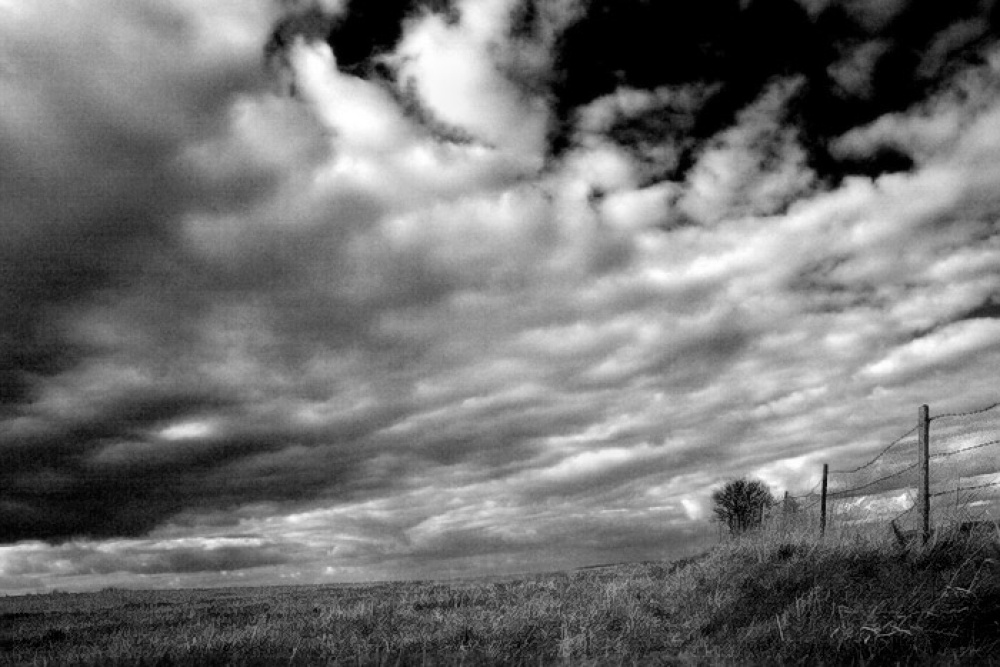 Photograph of Salisbury plaine. West Lavington, Wiltshire