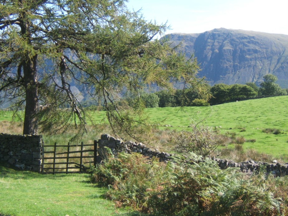 Gentle farmland of lower Wasdale with the dramatic backdrop of the screes.