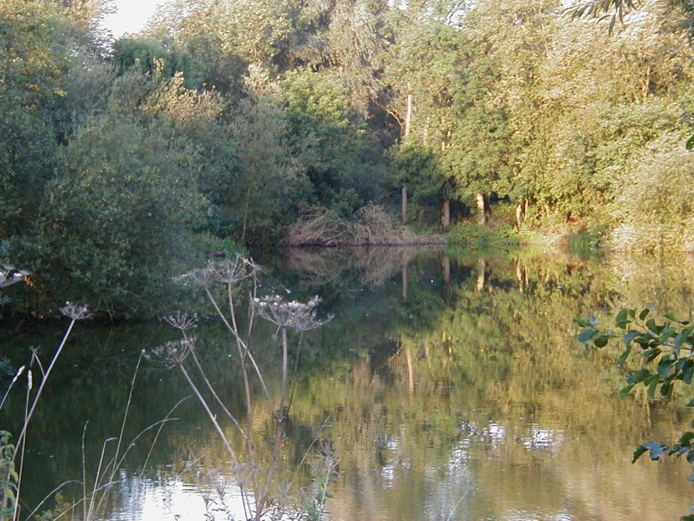 Kingsbury water park in the morning