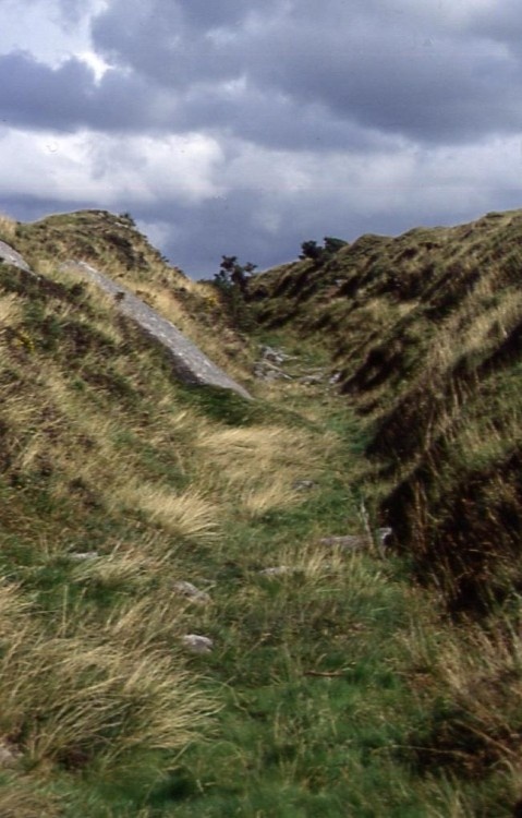 images of Dartmoor, Devon