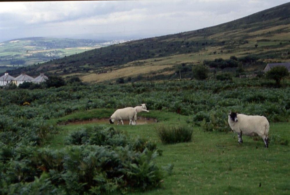 images of Dartmoor, Devon