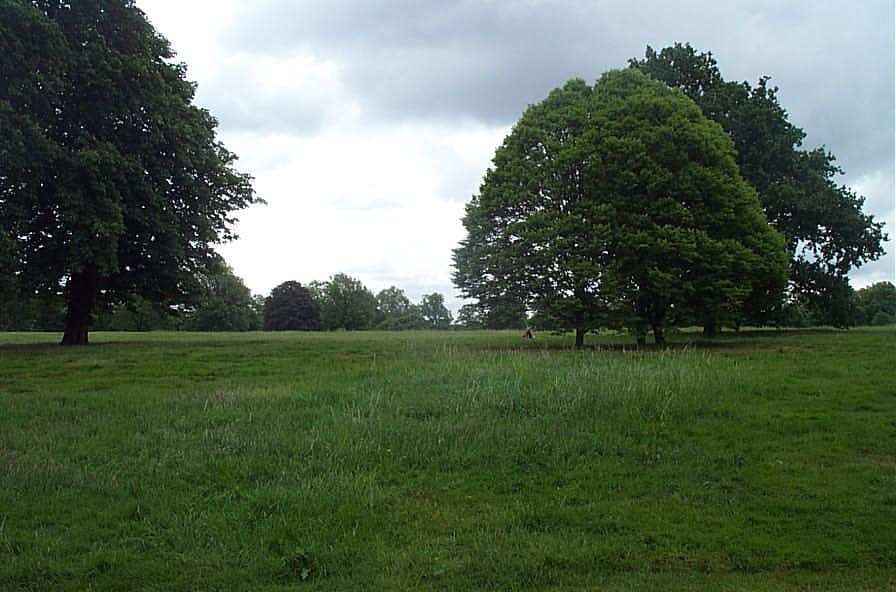 London's Hyde Park, June 2005