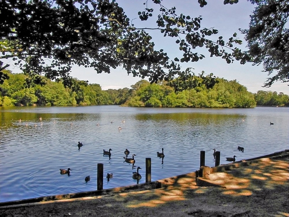 Hartsholme Park Lake, Lincoln