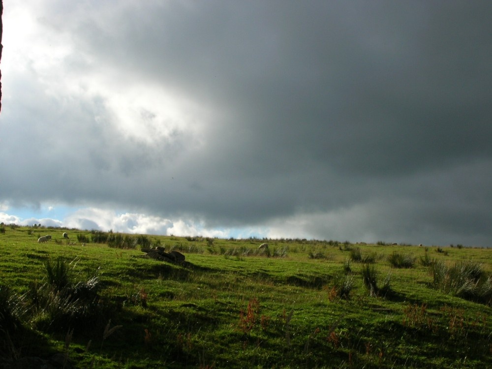 A picture of Teesdale - County Durham - England