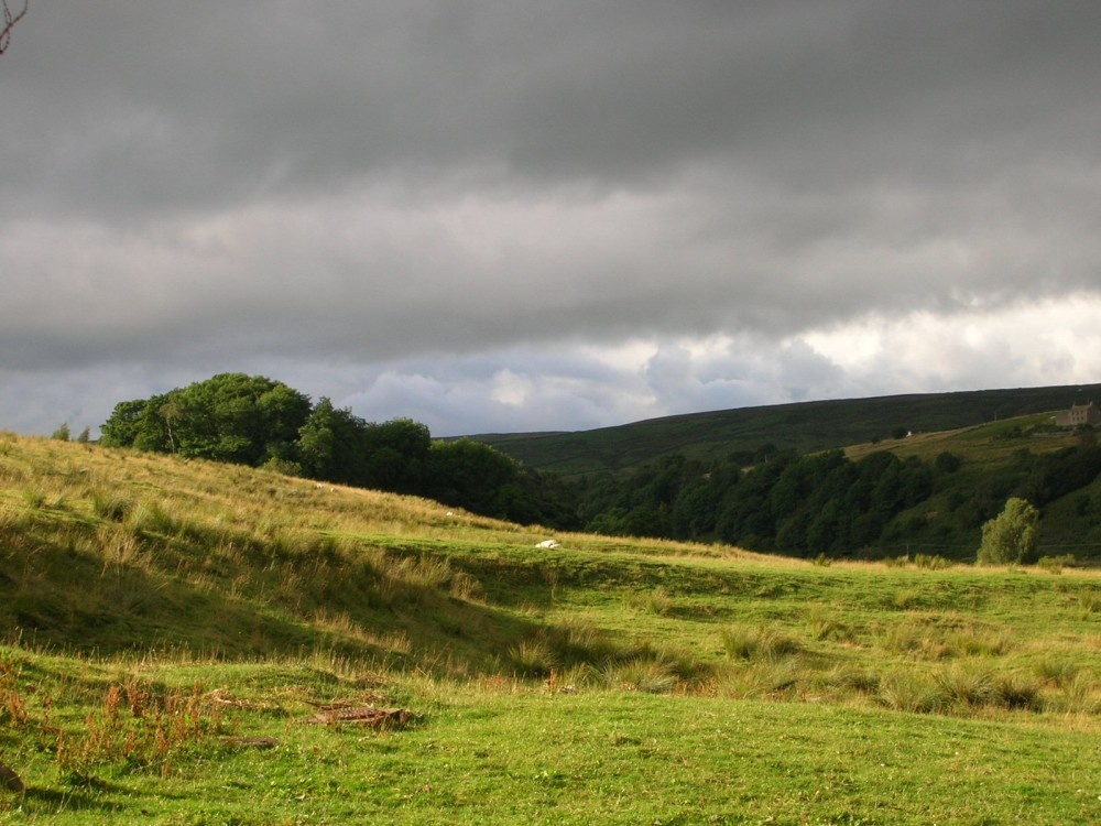 A picture of Teesdale - County Durham - England