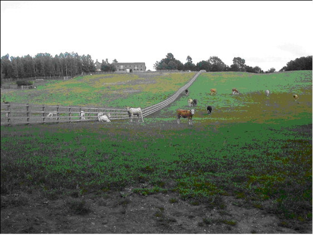 Photograph of A picture of Toft Hill