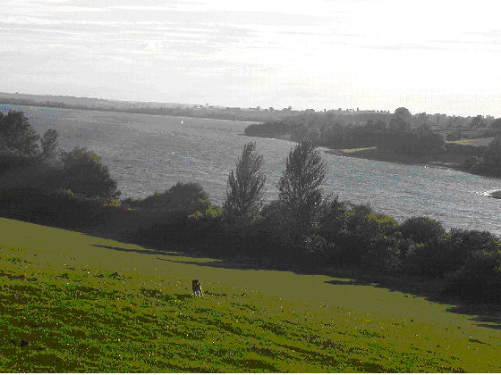 Photograph of A picture of Toft Hill