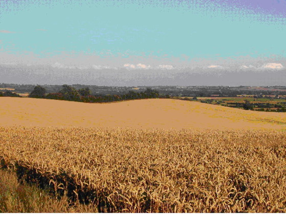 A picture of Toft Hill