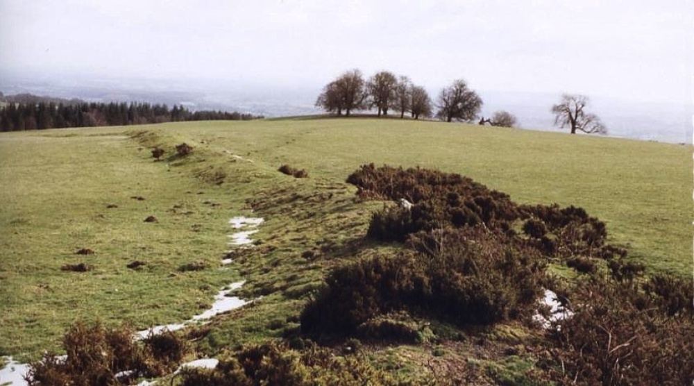 Offa's Dyke on Rushock hill near Kington, Herefordshire.