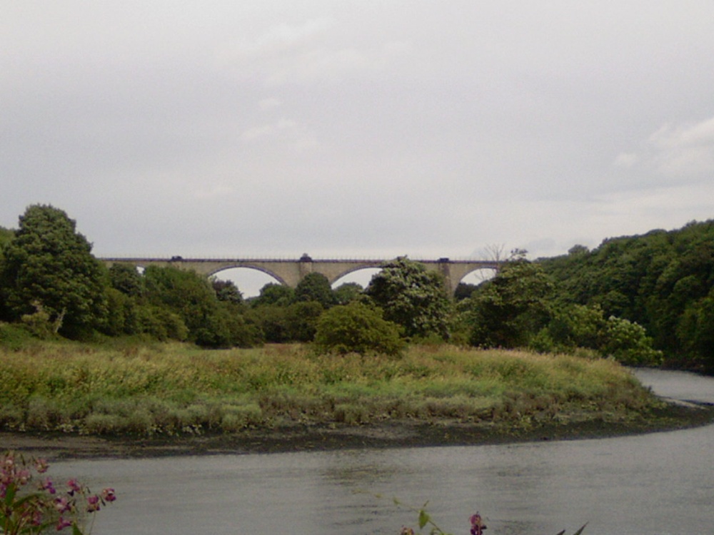 Photograph of The River Wear at Fatfield and the Victoria Viaduct, Tyne and Wear.