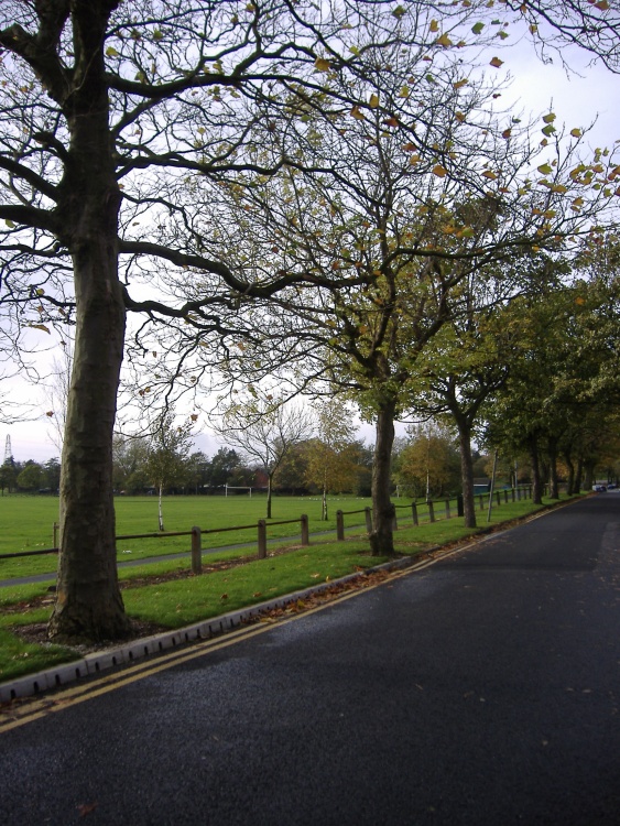 Park Road, Runcorn