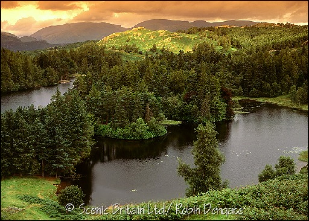 Tarn Hows, near Coniston, Lake District, Cumbria