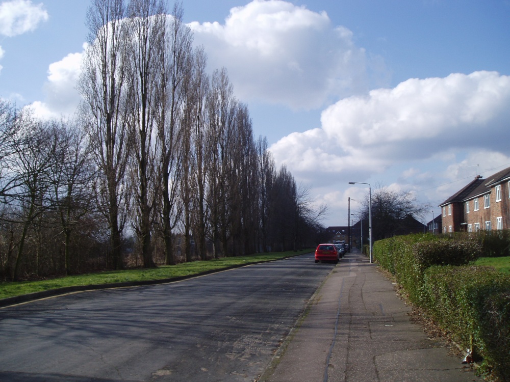 Photograph of Torrington Drive, Debden, Loughton, Essex.