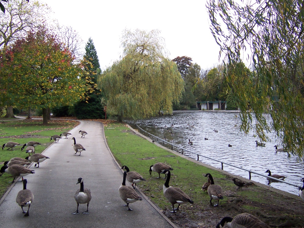 Cannon Hill Park, Birmingham