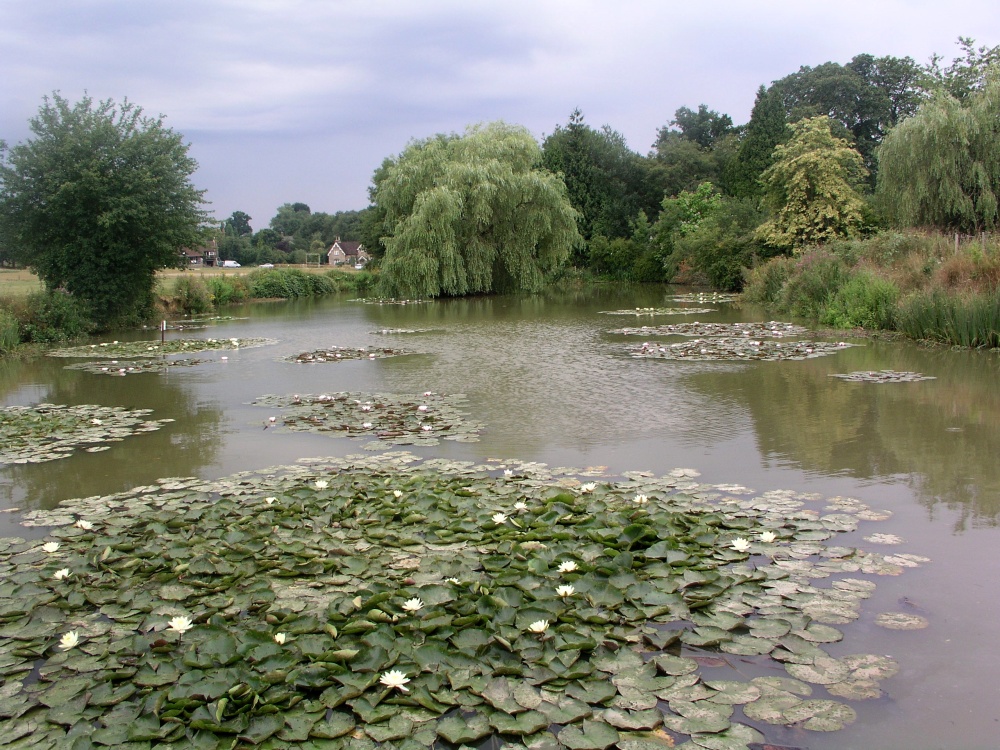 Looking down a river near Dorking, Surrey