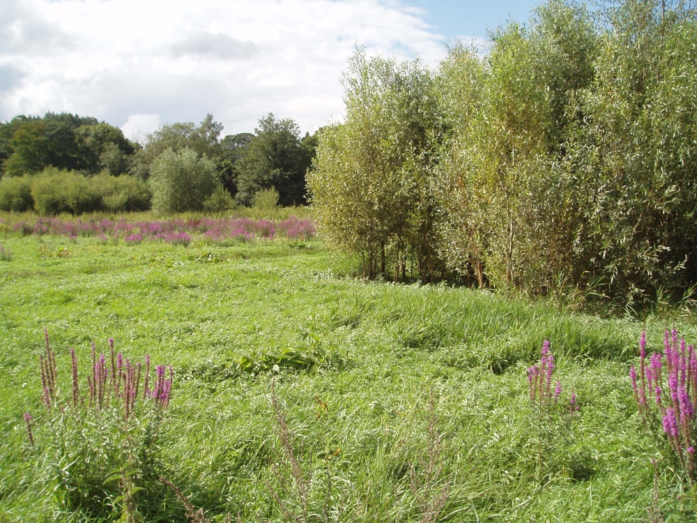 Marlow, Buckinghamshire - August 2006