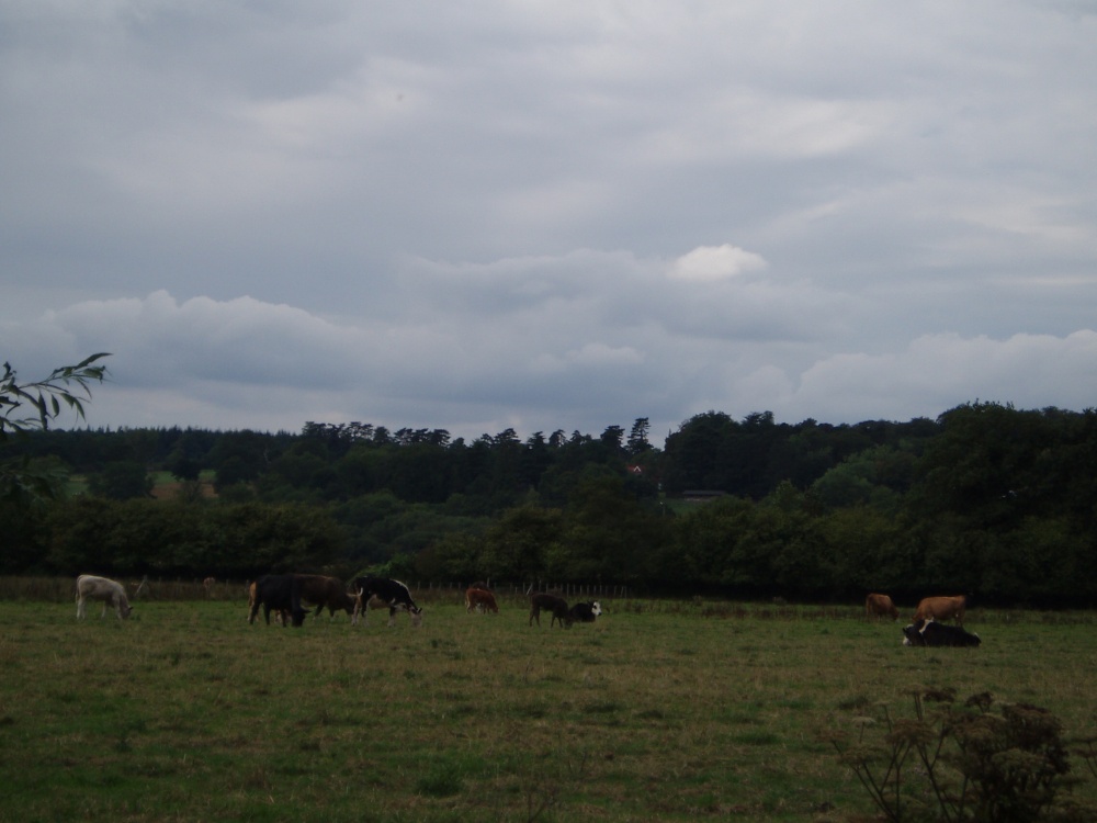 Marlow, Buckinghamshire - August 2006