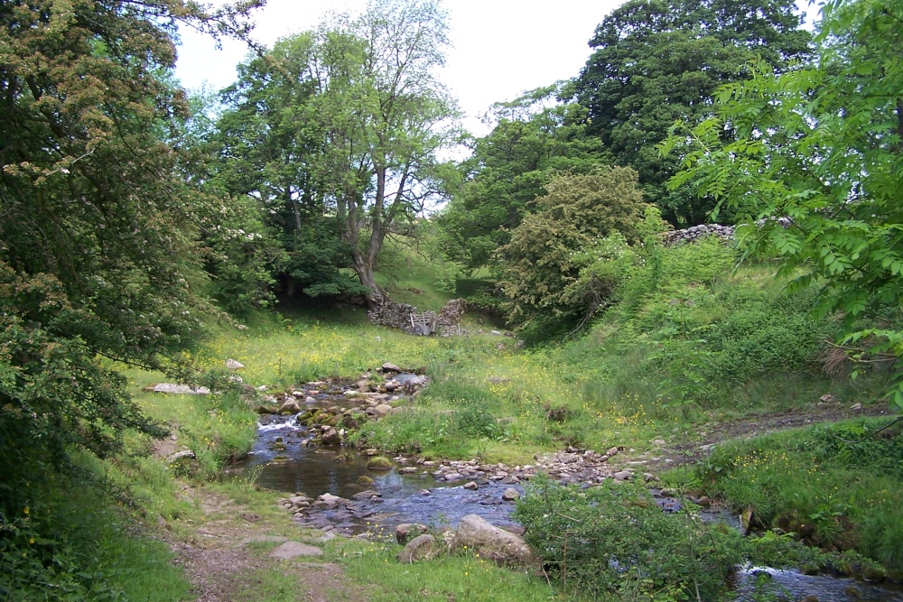 Hebden Ghyll, North Yorkshire. Taken June 2006.