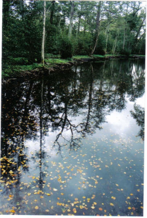 A lake in Suffolk in autumn near Holkham Hall