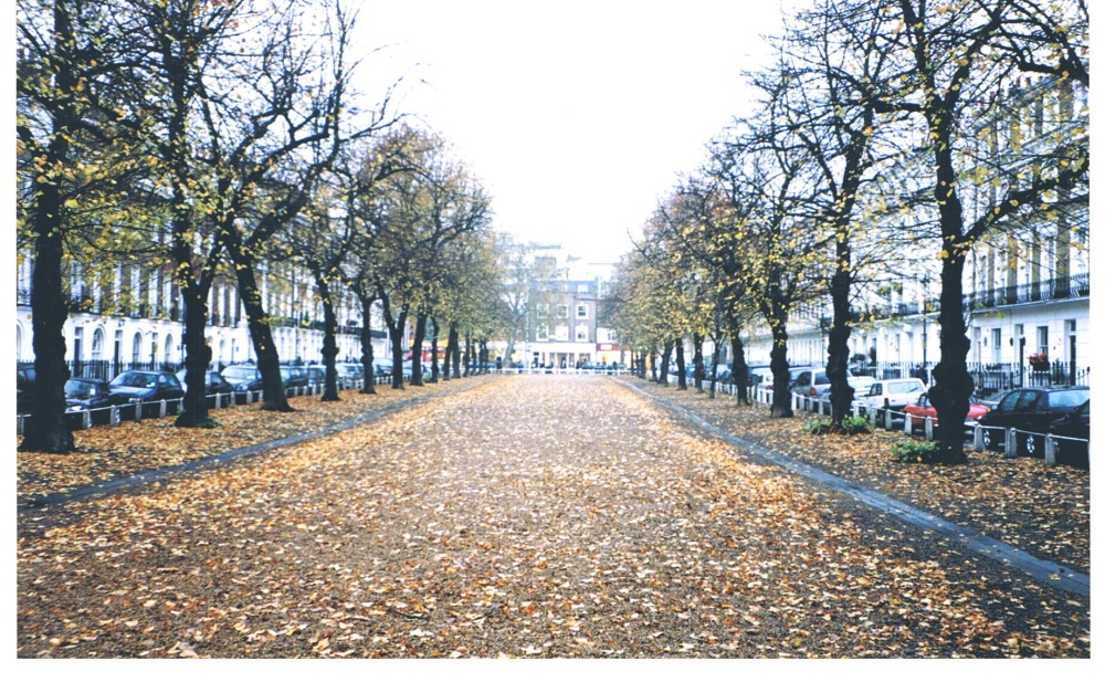 The Royal Avenue, Chelsea, London