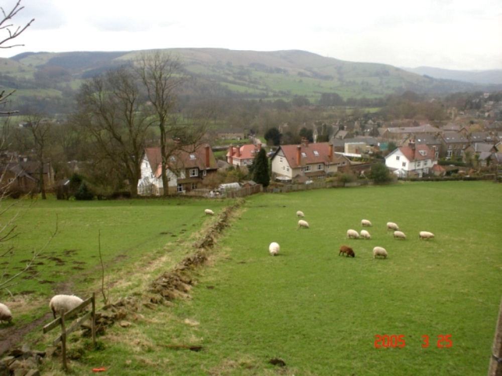 A field view in the Peak District, Derbyshire.