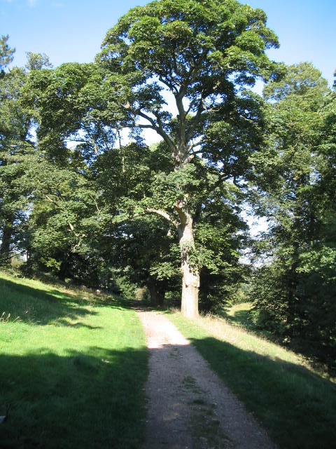 Bishops Park,Bishop Auckland,Durham