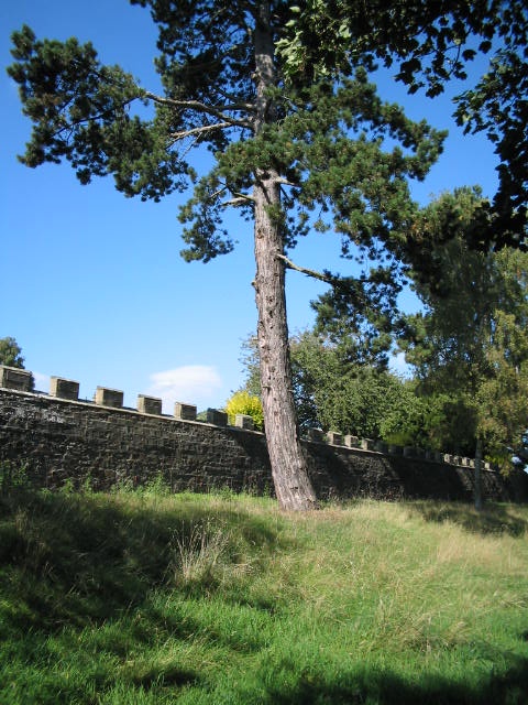 Bishops Park,Bishop Auckland,Durham