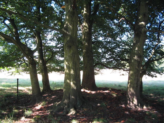 Bishops Park,Bishop Auckland,Durham