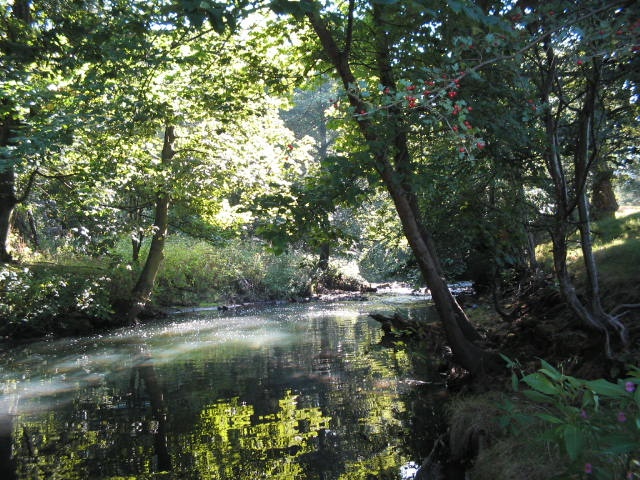 Bishops Park,Bishop Auckland,Durham