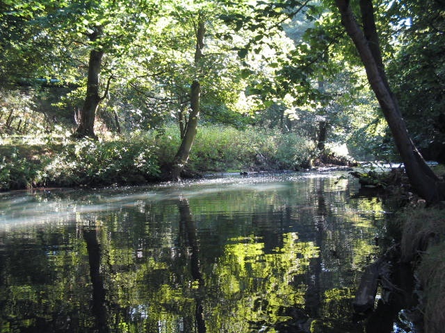 Bishops Park,Bishop Auckland,Durham