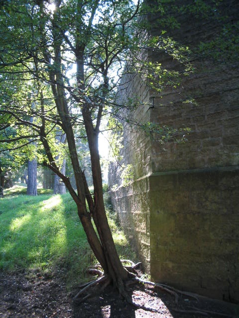 Bishops Park,Bishop Auckland,Durham