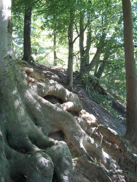 Bishops Park,Bishop Auckland,Durham