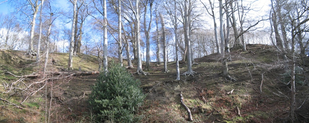 Bishops Park,Bishop Auckland,Durham