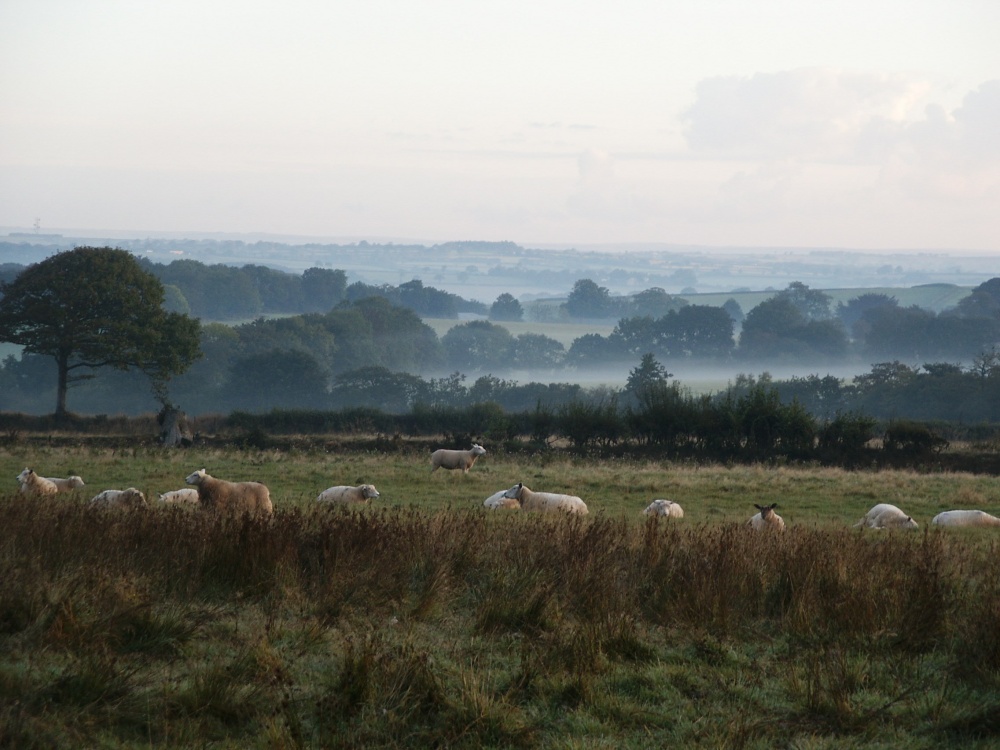 Morning mist from the Thelbridge Cross Inn
car park. Devon.