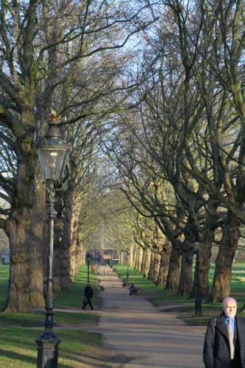 London Green Park (Early Morning); Green Park lies between Blenheim Park and Piccadilly.