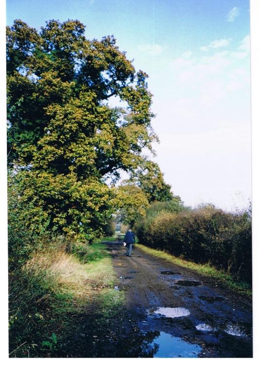 Countryside of Suffolk-Essex