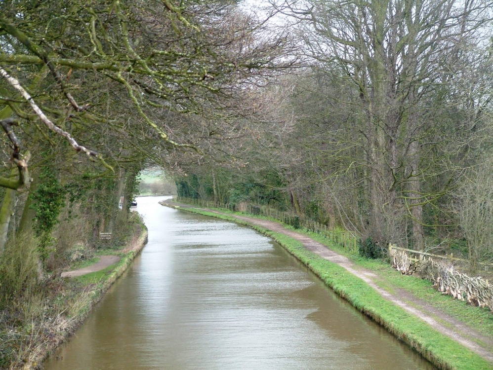 View of canal from Big Wood footbridge. Marbury Country Park, Cheshire photo by Blacs