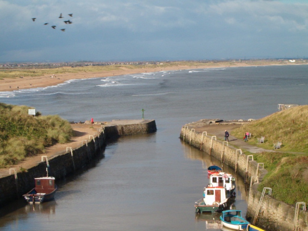 Views of the Harbour and Beach at Seaton Sluice, Northumberland