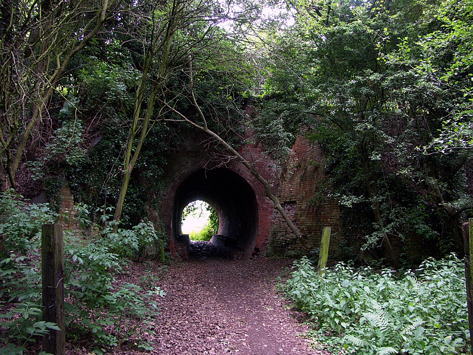 A picture of Charnwood Forest