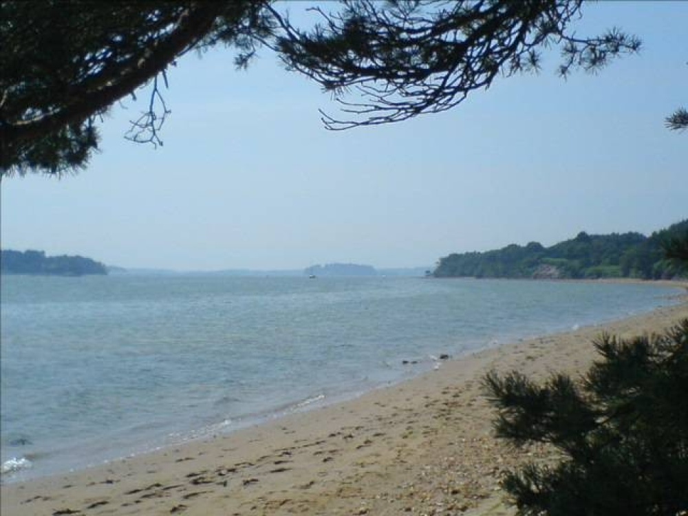 Brownsea Island