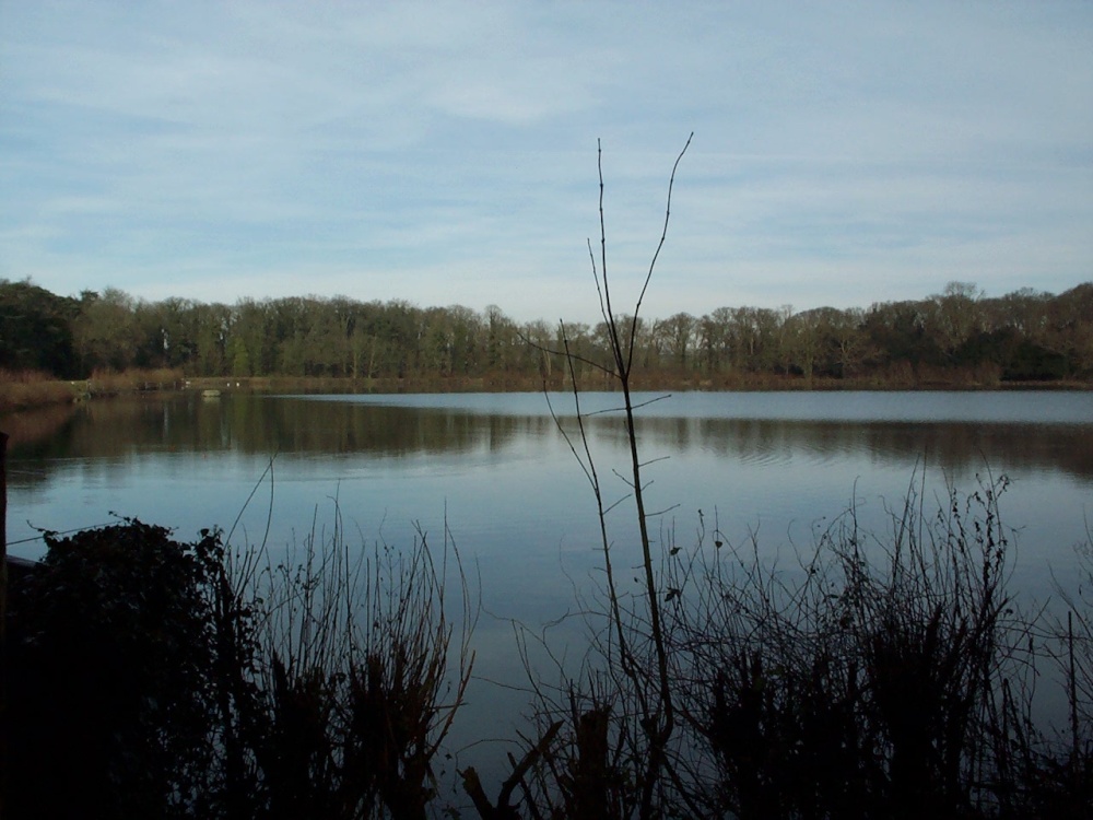 Photograph of Revesby, Lincolnshire