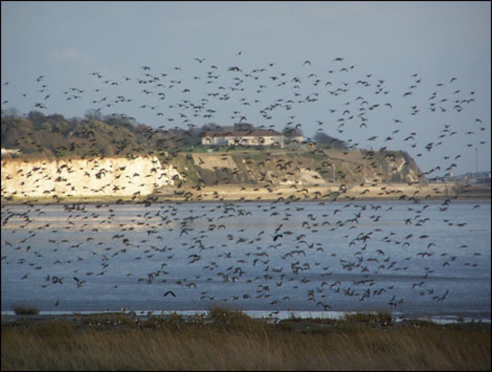 Pegwell, Kent